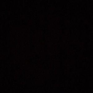 Meet your Posher, Paul